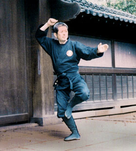Grandmaster Masaaki Hatsumi